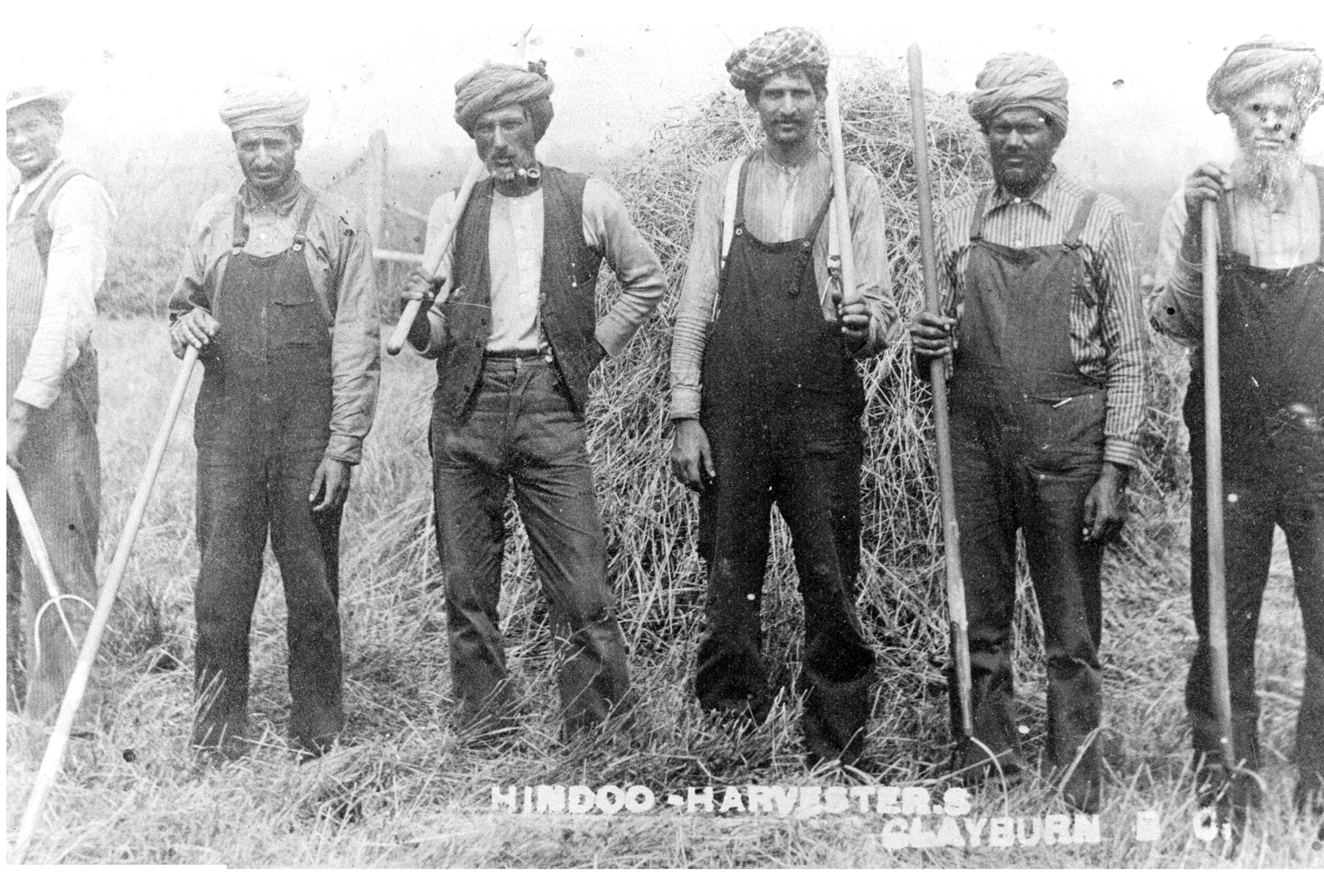 The Hindoo Harvesters