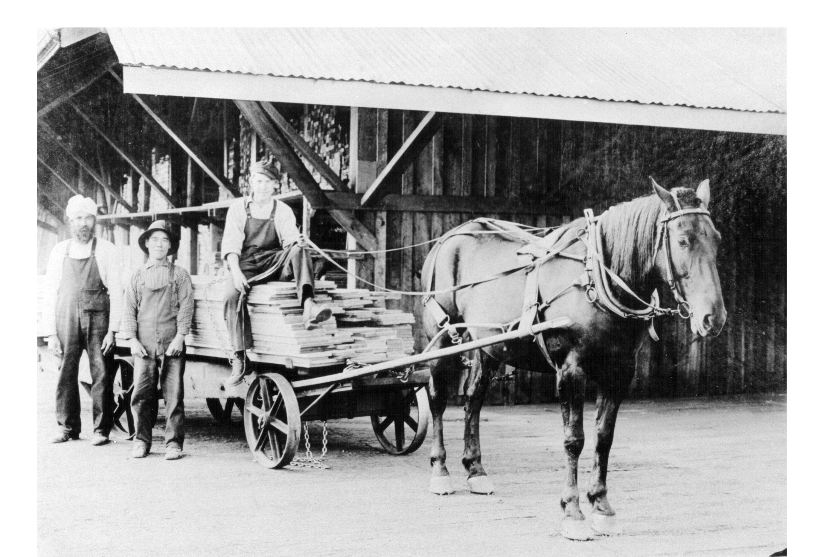 Horse and cart, 1915 & The Hindoo Harvesters