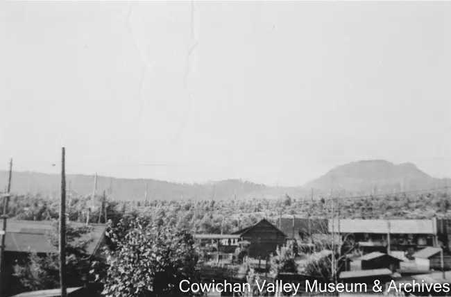 2020_06_10_035-Thumbnail Image.webp