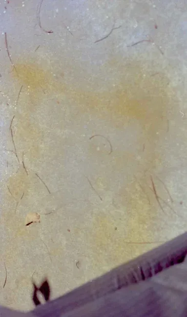 2020_03_F00163_025-Thumbnail Image.webp