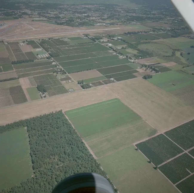 2020_03_F00253_001-Thumbnail Image.webp