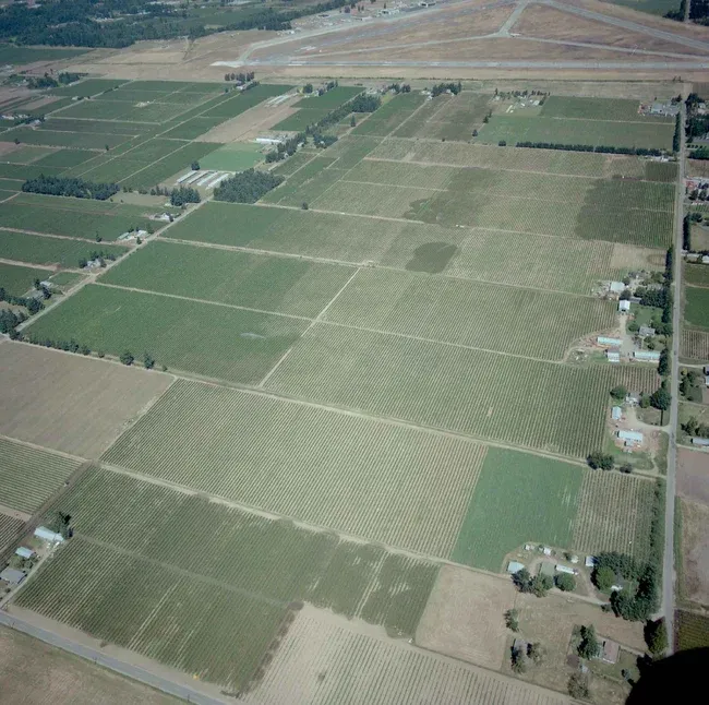 2020_03_F00253_004-Thumbnail Image.webp