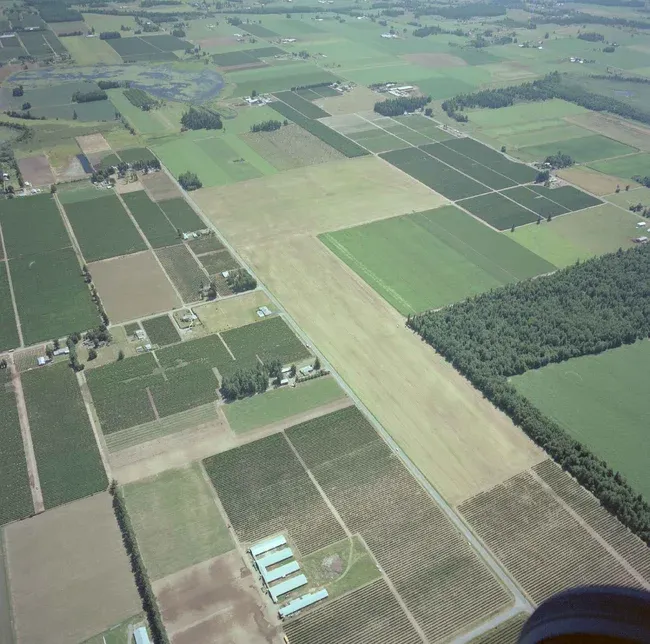 2020_03_F00253_011-Thumbnail Image.webp
