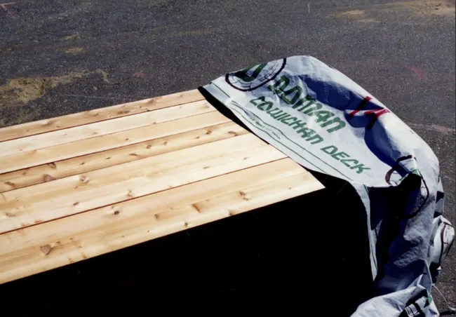 2023_14_02_308-Thumbnail Image.webp