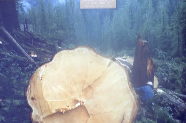2023_14_02_450-Thumbnail Image.webp